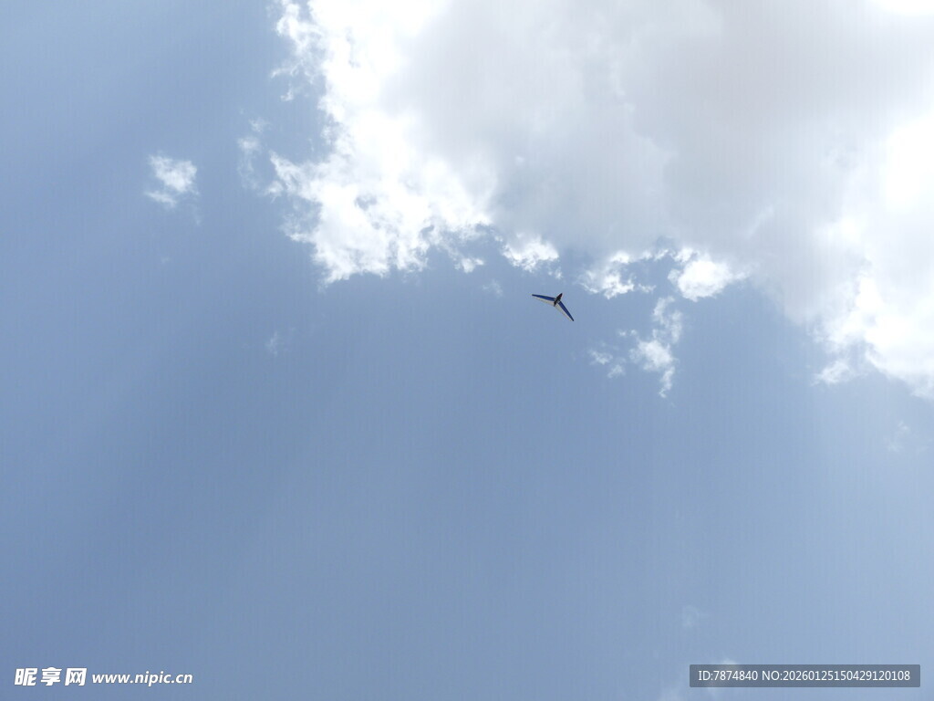 蓝天下翱翔的飞机