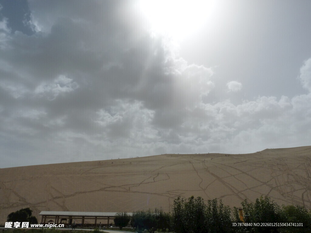 沙漠风光与绿植相映成趣