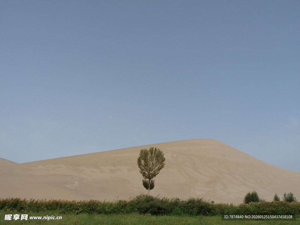 沙漠上空的热气球景观