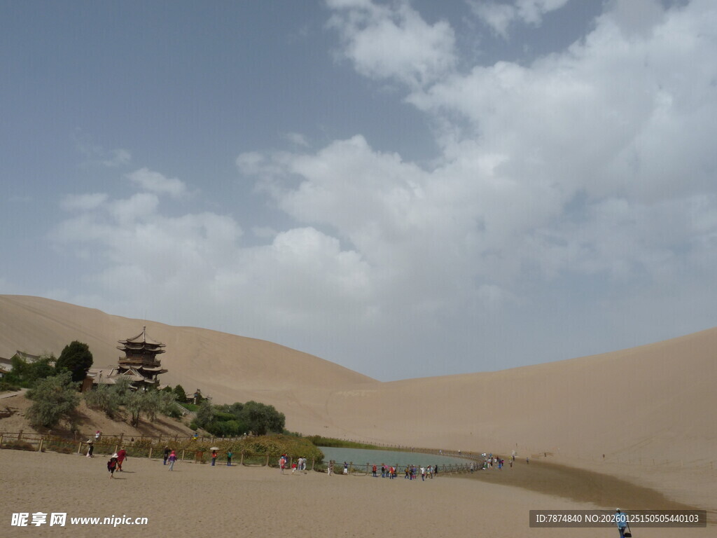 沙漠中的静谧绿洲景观