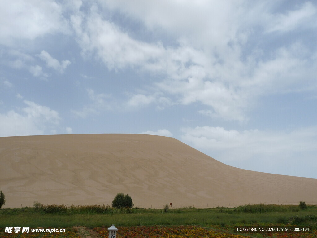 沙漠风光 远处沙丘与绿植