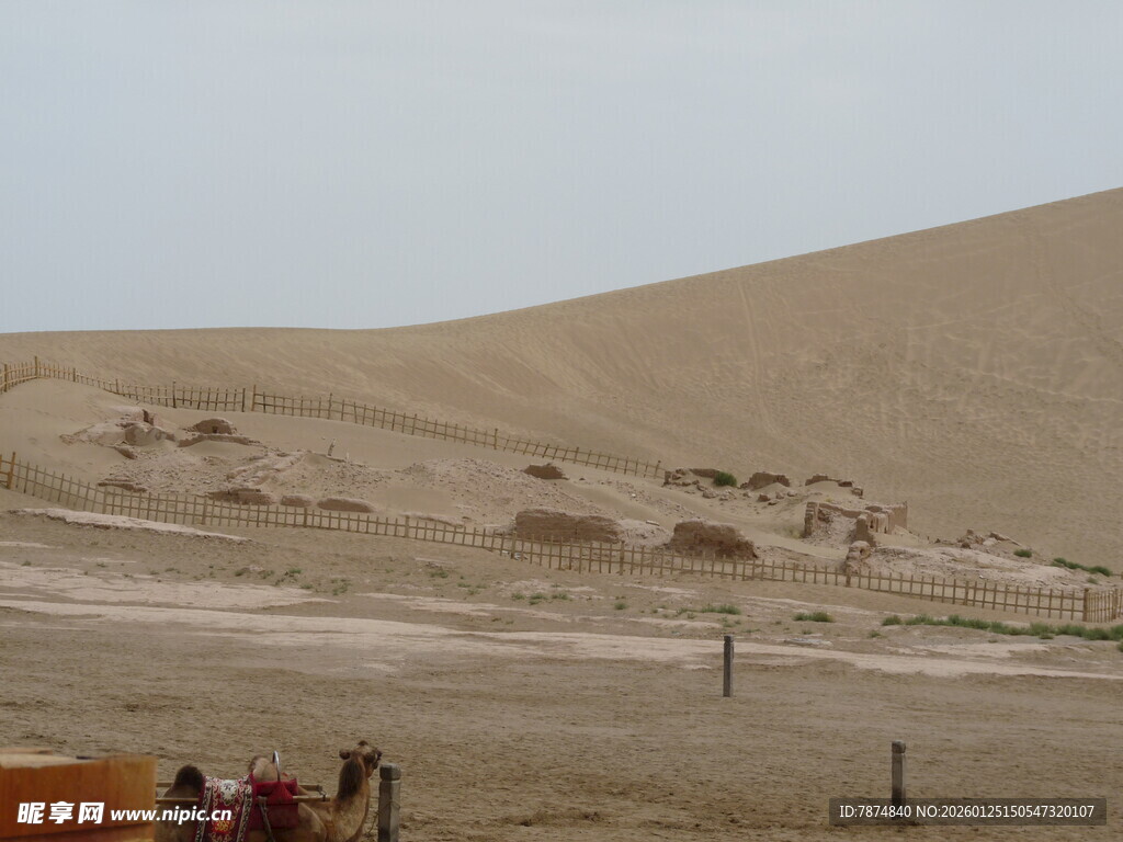 沙漠风光中的人群与骆驼