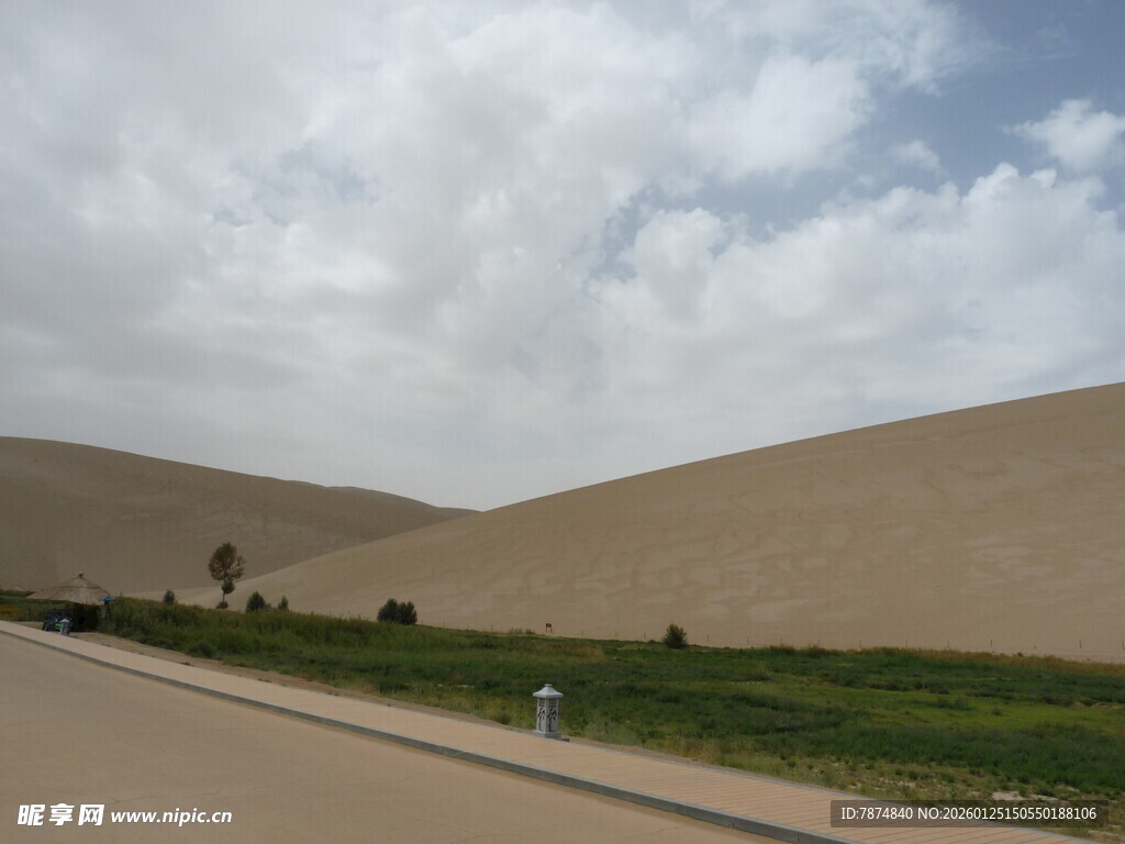 沙漠公路旁的绿地景观