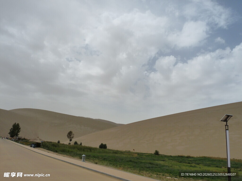 沙漠旁的绿意公路景观