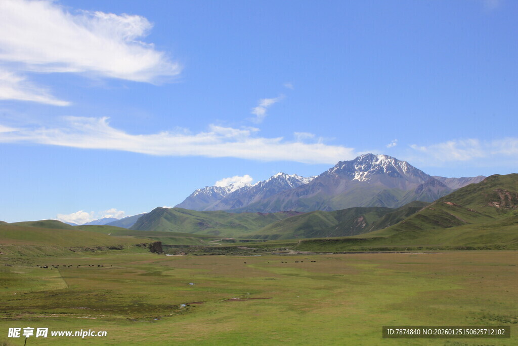 草原上的巍峨雪山