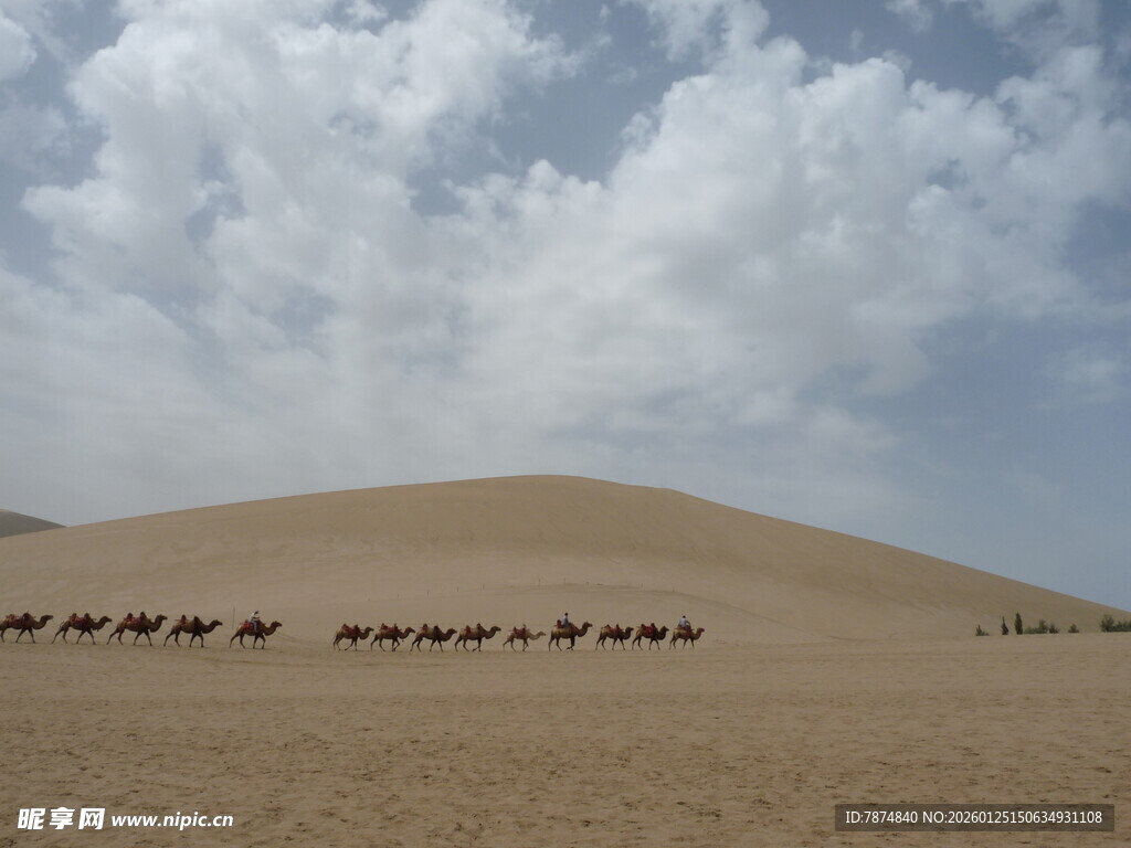 沙漠驼队穿行于蓝天白云下