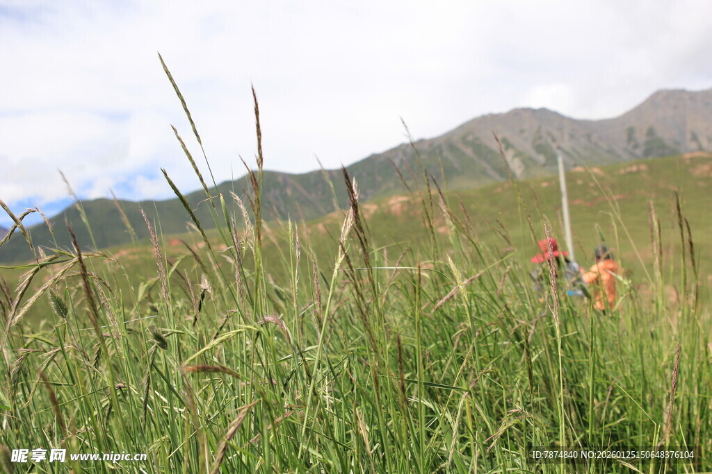 草原上的徒步者