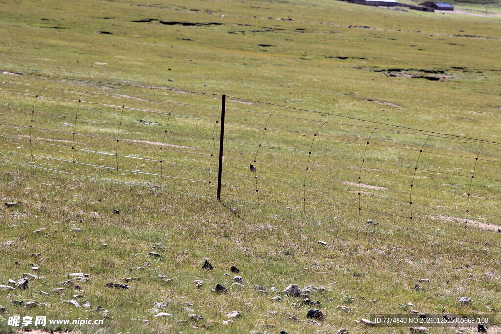 草原上的孤立围栏