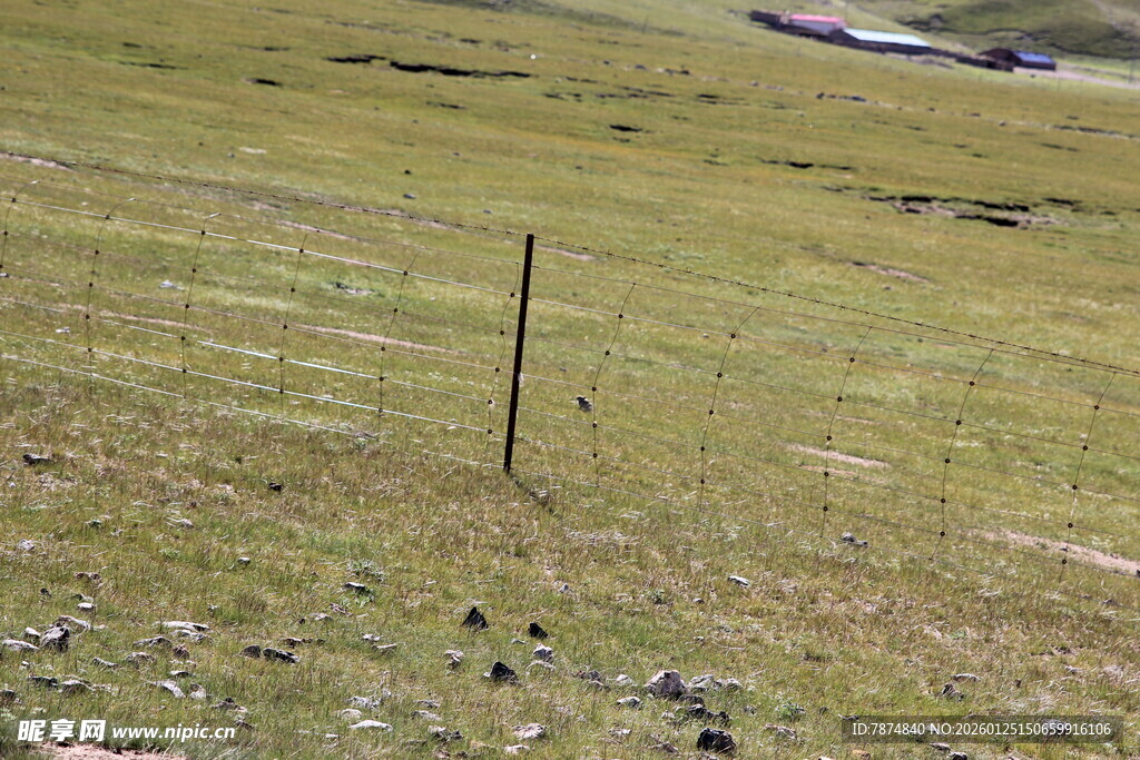 草原上的围栏与散落石块