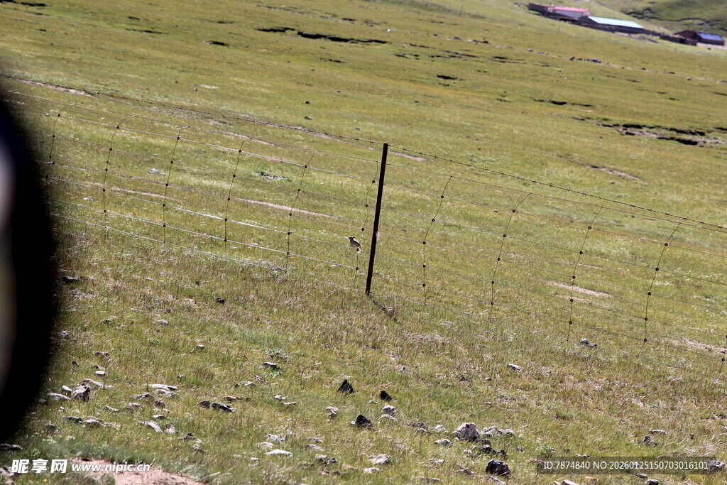 草原上的简易围栏