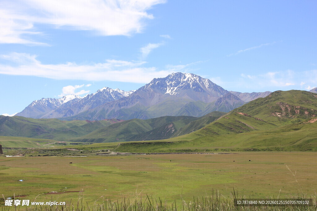 草原上的壮丽雪山景观