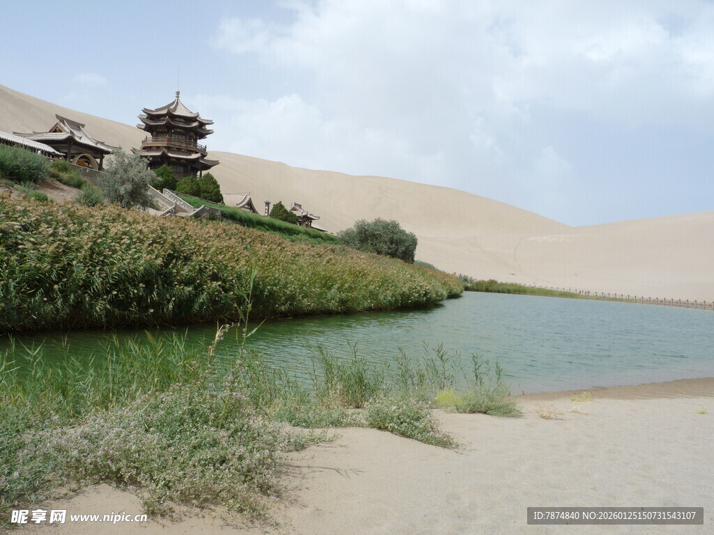 沙漠中的绿洲景观