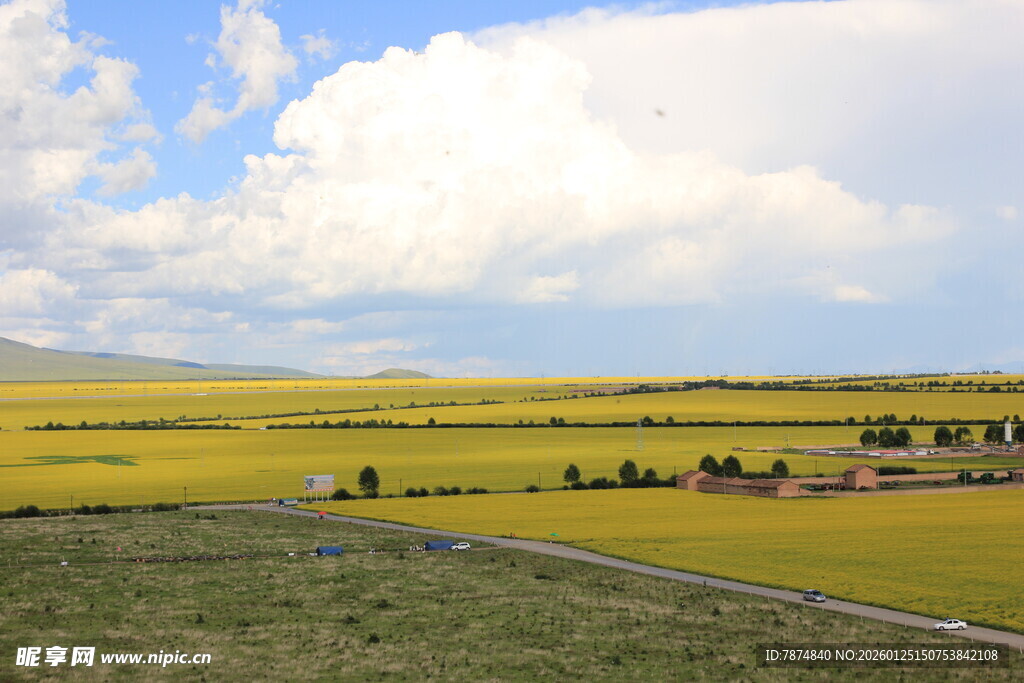 广袤田野风光秀丽