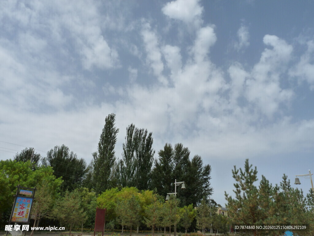 蓝天白云下的葱郁树林