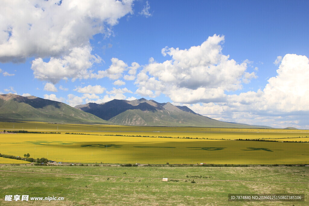 草原与远山的壮丽风光