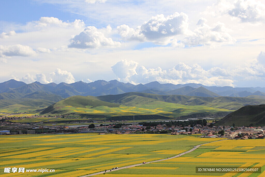 草原花海与远山美景