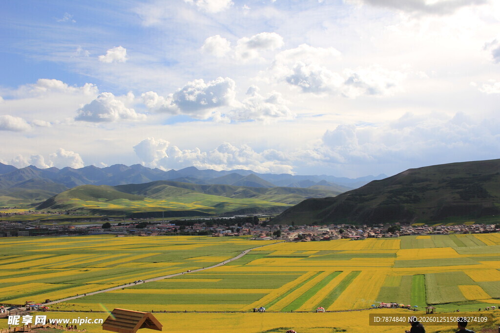 金黄田野与远山蓝天白云景