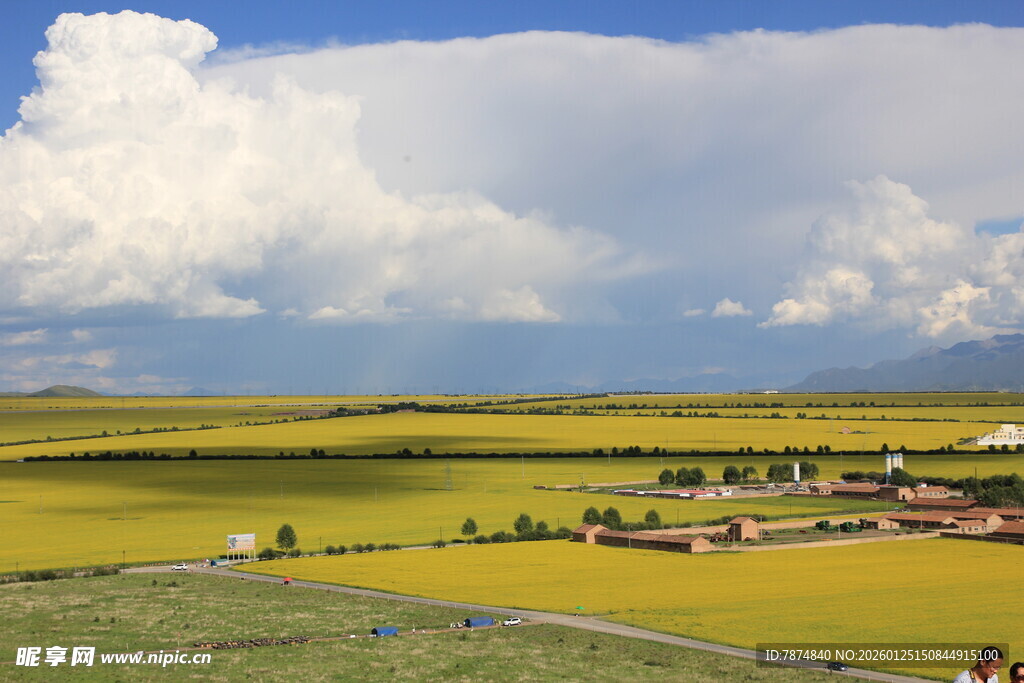 广袤田野与蓝天白云美景