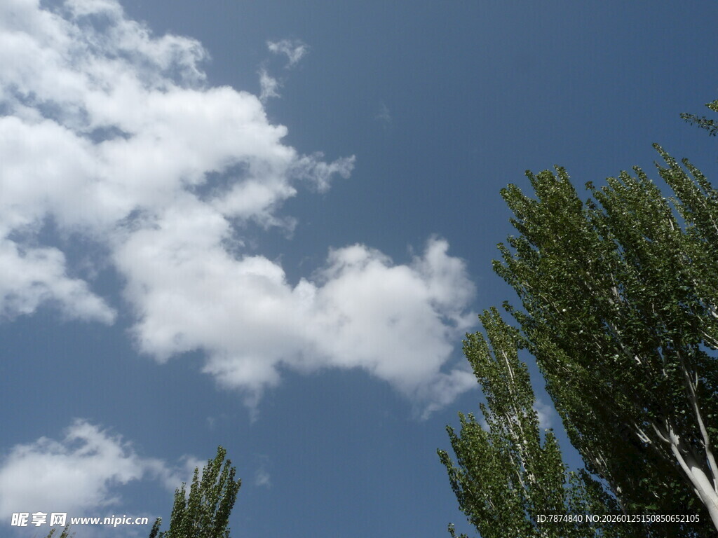 蓝天绿树间的白云景致