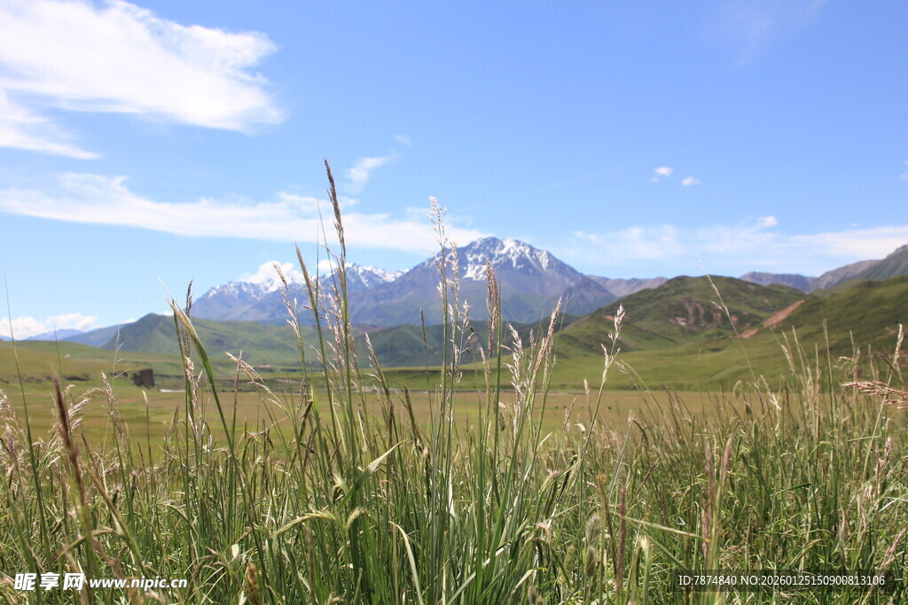 草原上的壮丽雪山景观