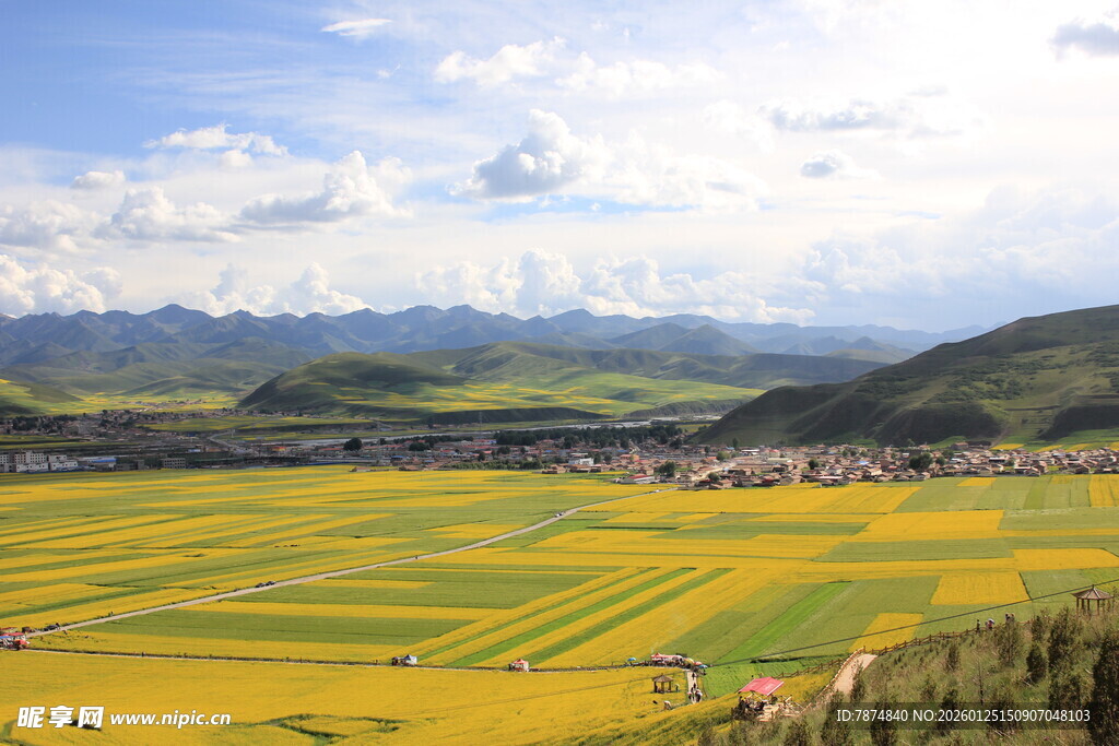 金色田野与远山村落美景