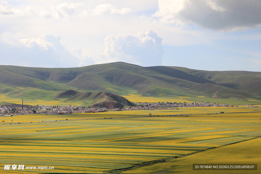 金黄油菜田与远山美景