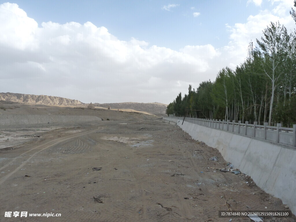 空旷荒地与成排树木景观