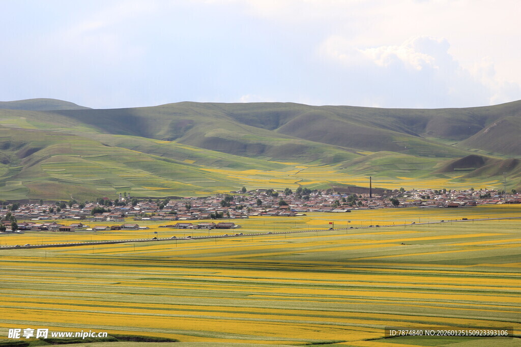草原村落 黄绿交织美景