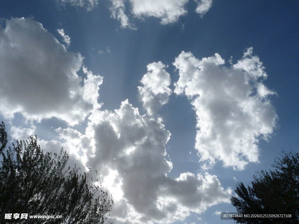 蓝天映衬下的蓬松云朵
