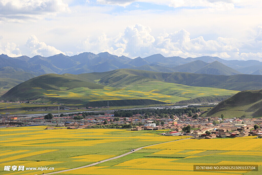 金黄田野与远山村落美景