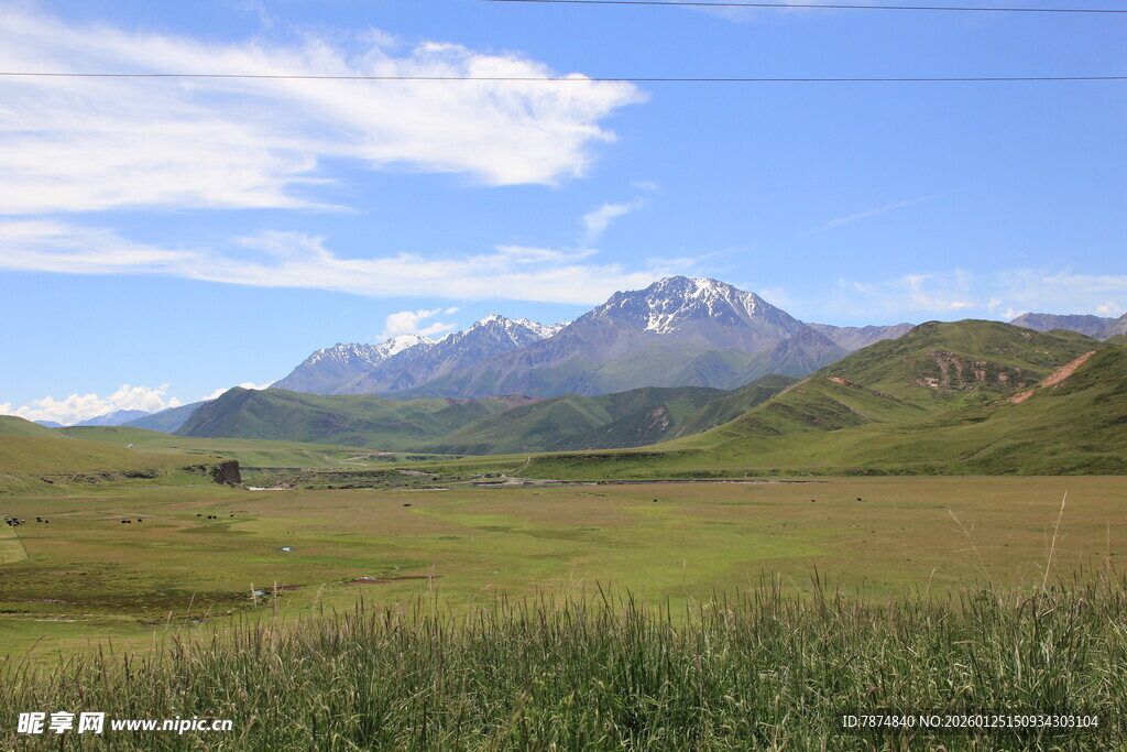 广袤草原与远处雪山美景