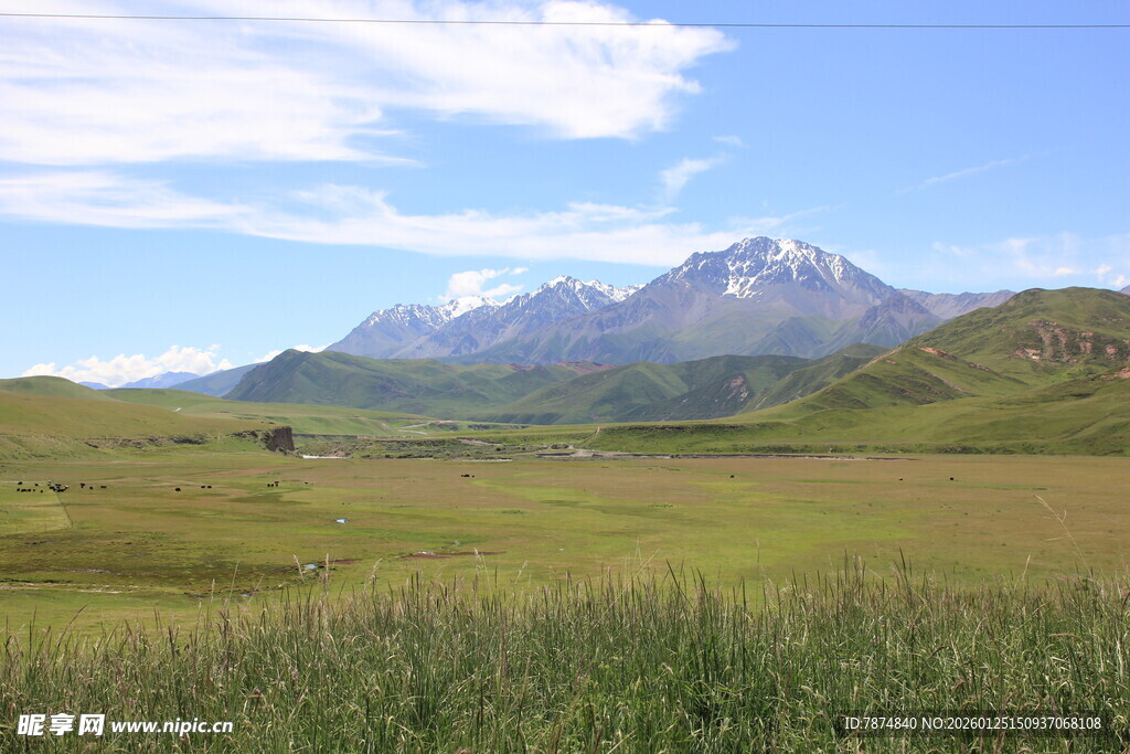 草原上的巍峨雪山美景