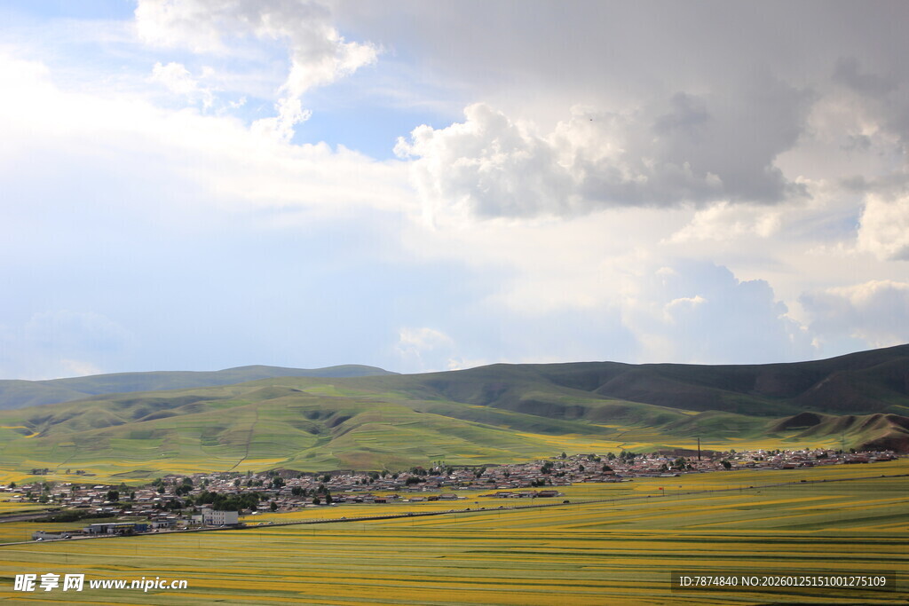 草原风光 蓝天白云绿地