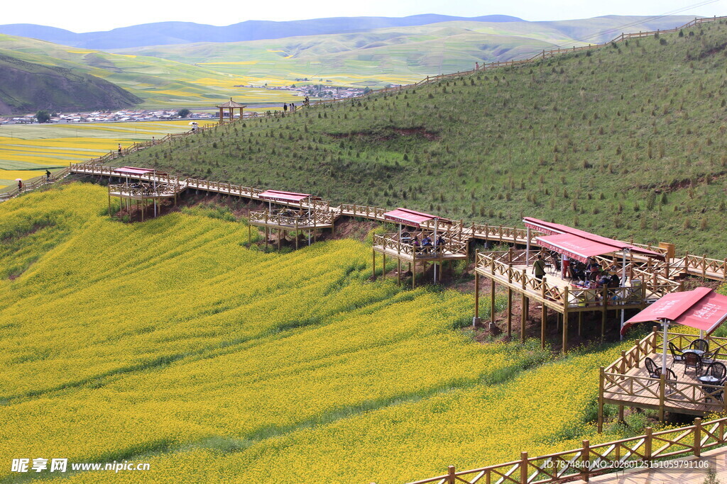 金黄田野中的特色建筑