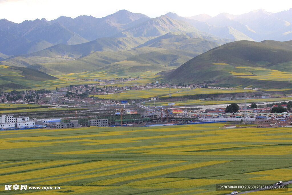 山间油菜花海田园美景