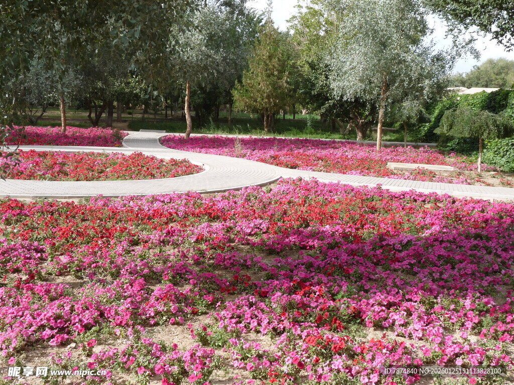 缤纷花海装点美丽园林