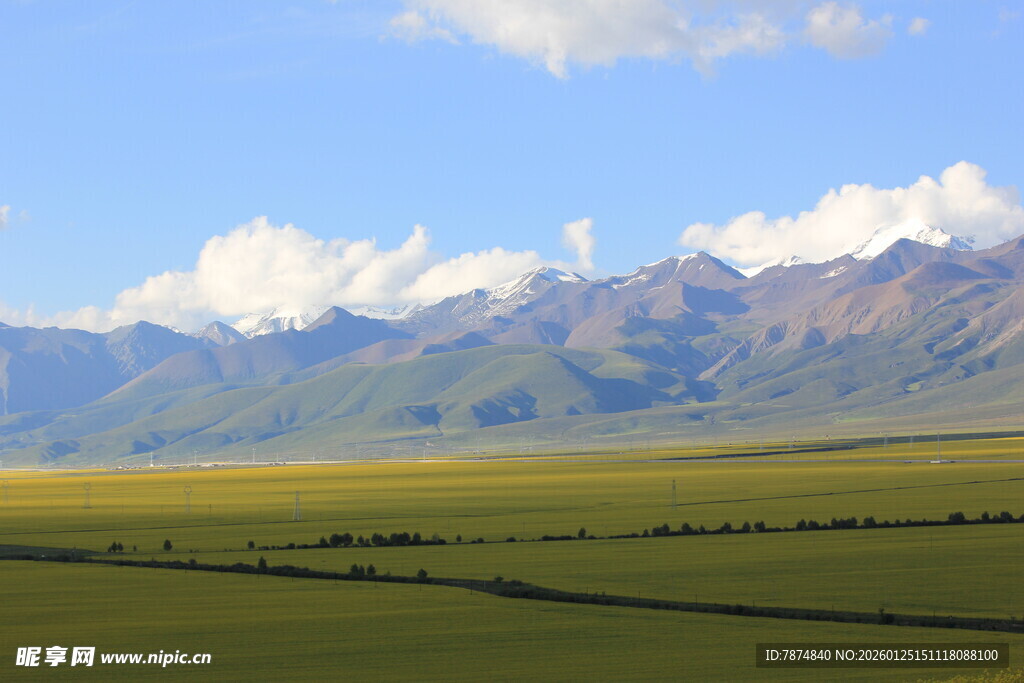 草原与远山的壮美风光