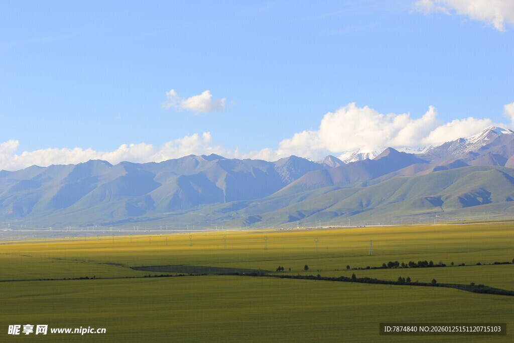草原与远山的壮美风光