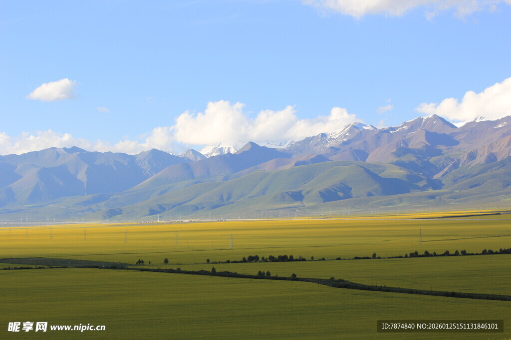 草原与远山的壮美风光