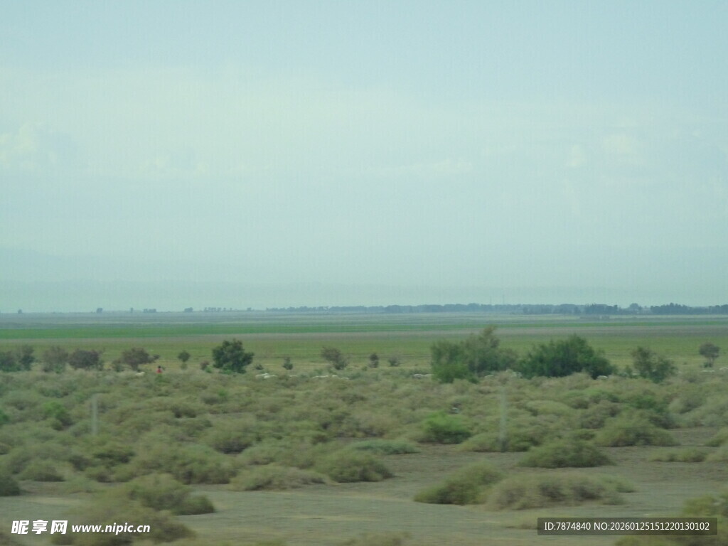 广袤荒凉的野外景观