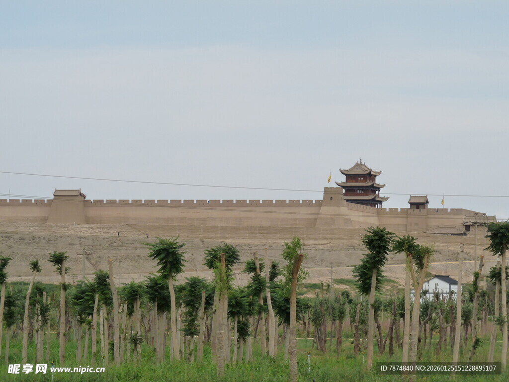 嘉峪关前翠绿农田景观
