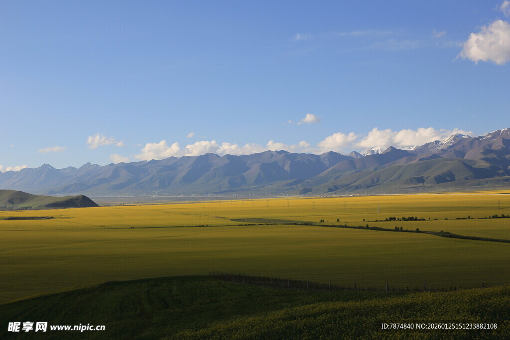 广袤草原与远处雪山美景