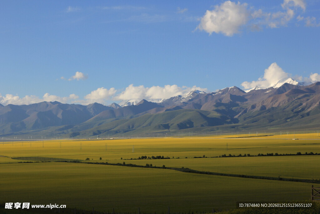 草原与远山的壮美风光