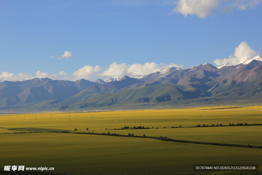 草原与远山的壮美风光