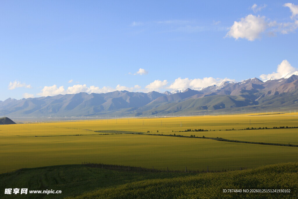 草原风光与远处雪山美景