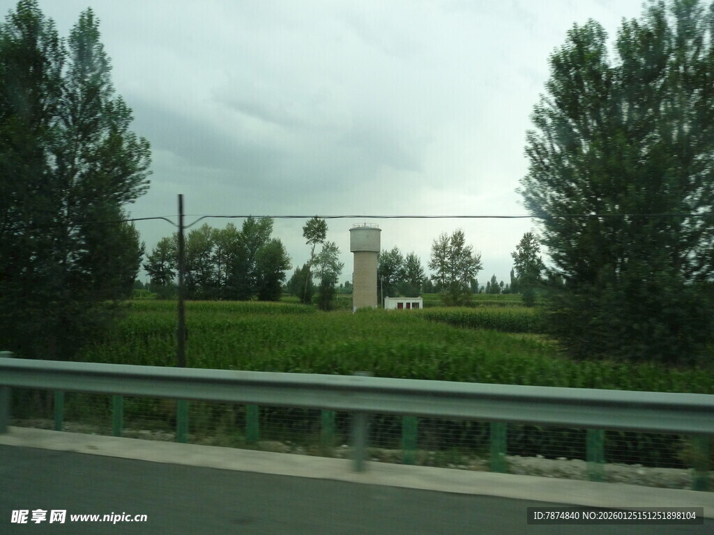 公路旁绿意盎然的田园风光