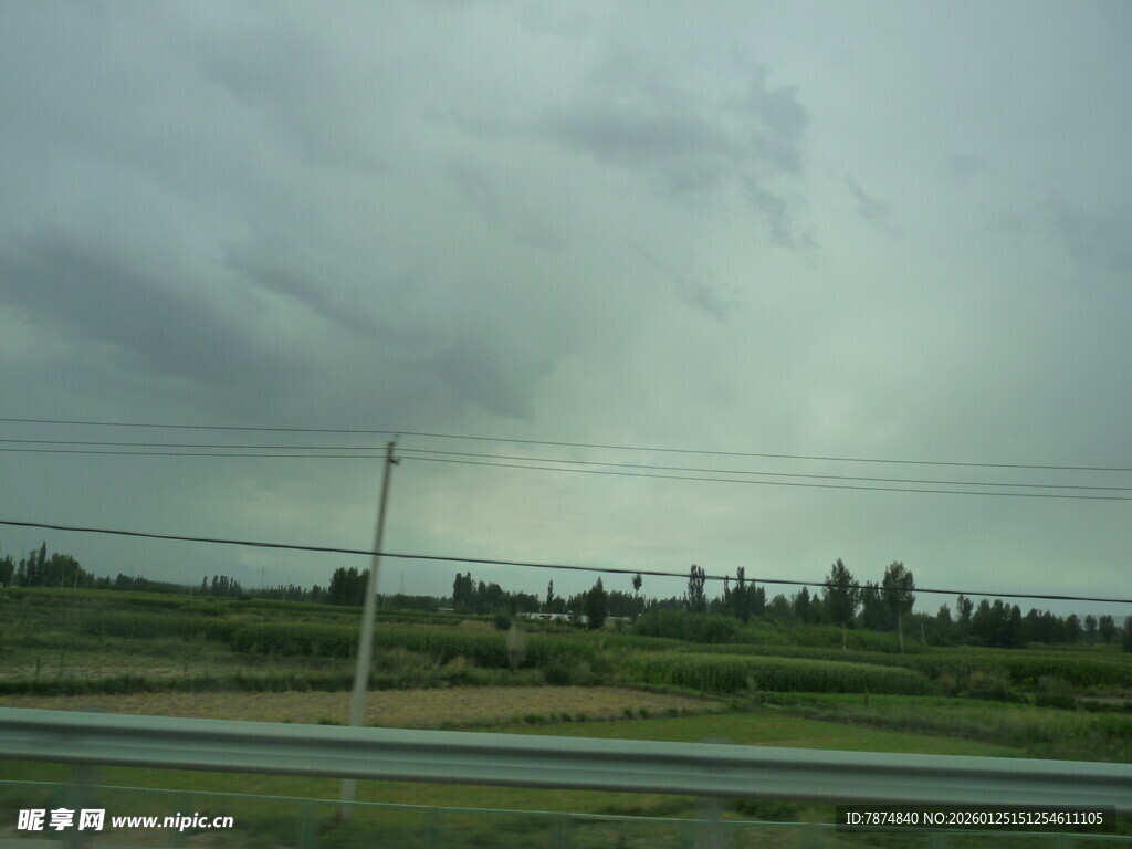 公路边的阴沉天空与植被