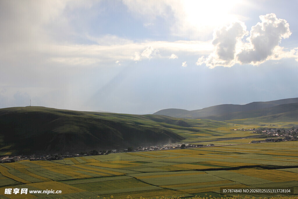 草原田野间的壮丽光影