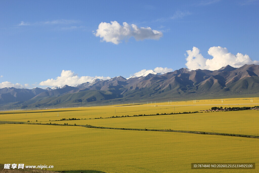 草原与远山的壮美风光