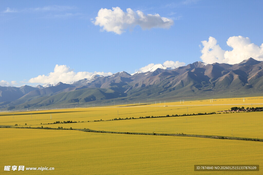 广袤草原与远处山峦美景